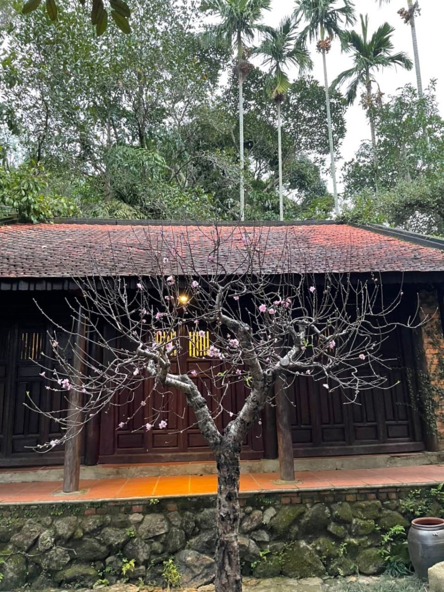 Giới thiệu bảo tàng