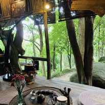 Các Phòng Trà tại Bảo tàng Đồng Đình