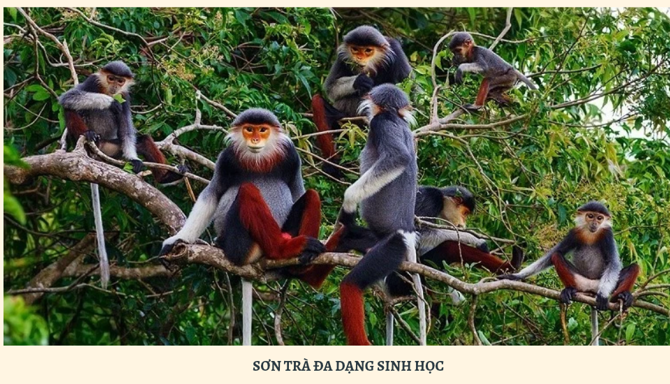 Đa dạng sinh học