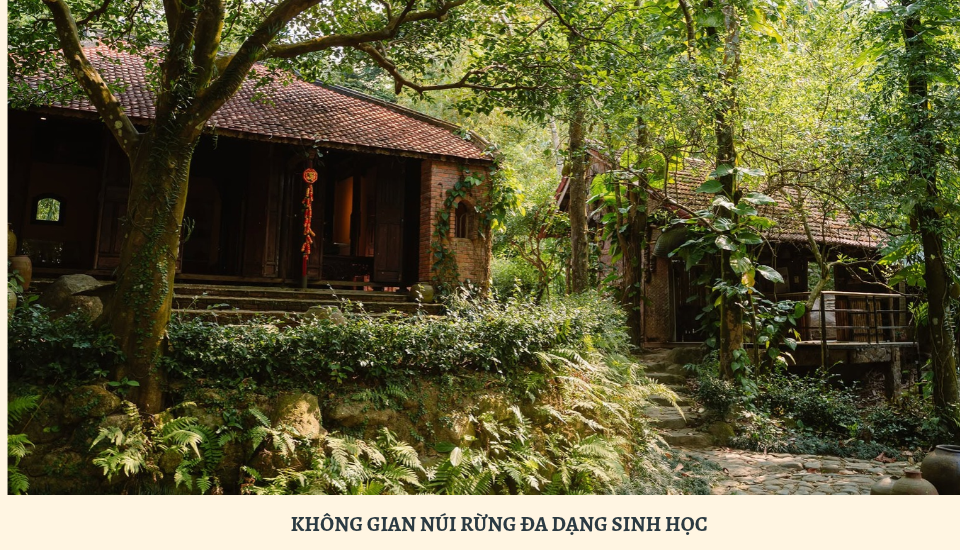 Bảo tàng Đồng Đình