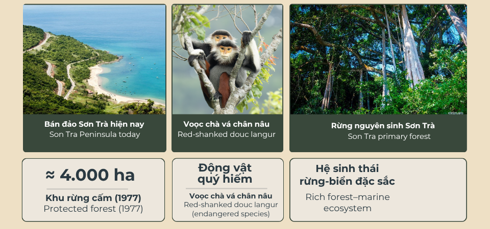 Sơn Trà đa dạng sinh học