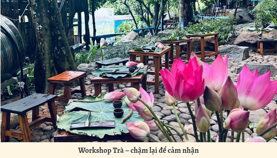 Workshop làm trà ở Sơn Trà